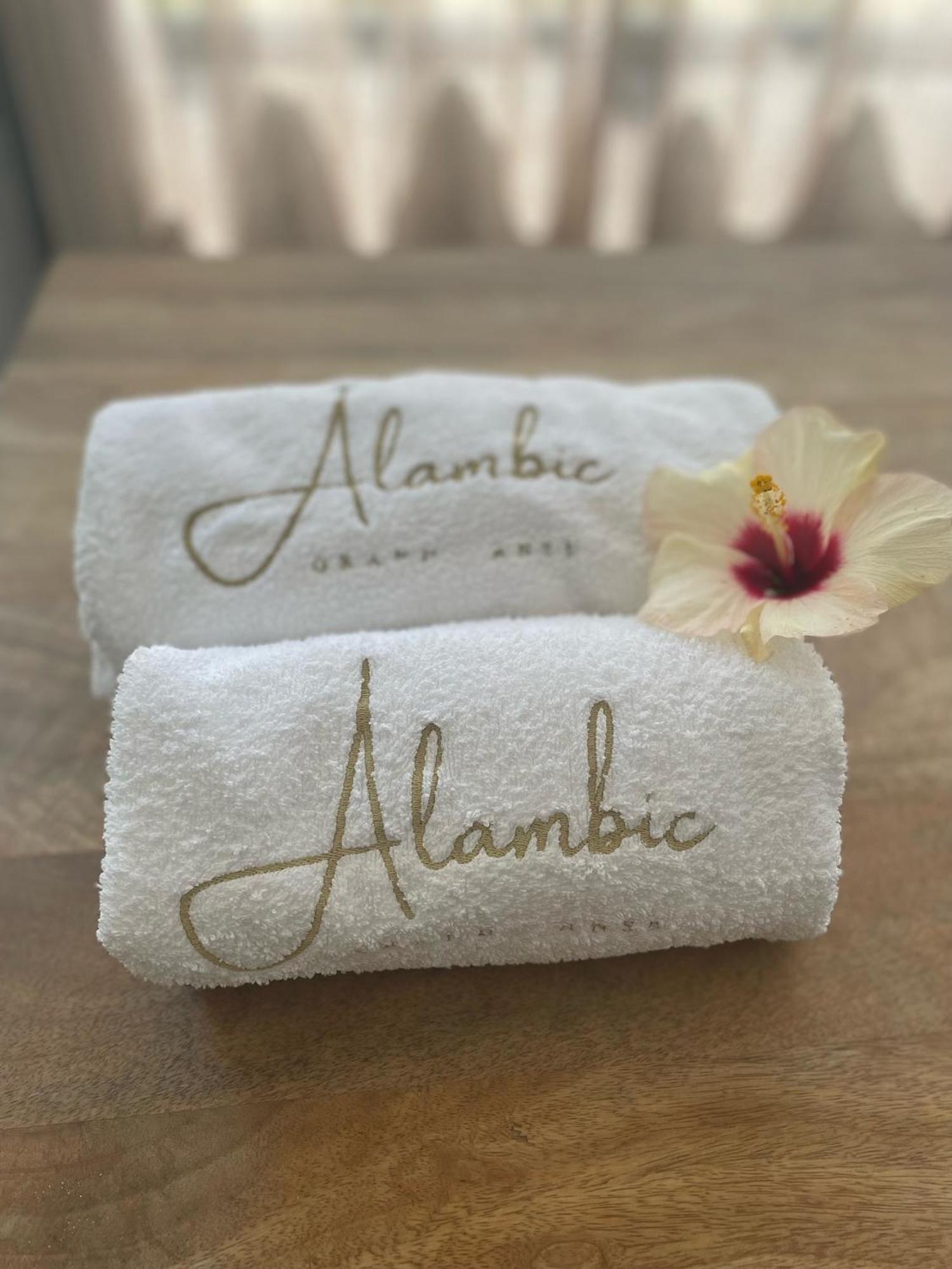 Ferienwohnung Alambic De Grand Anse Petite Île Exterior foto