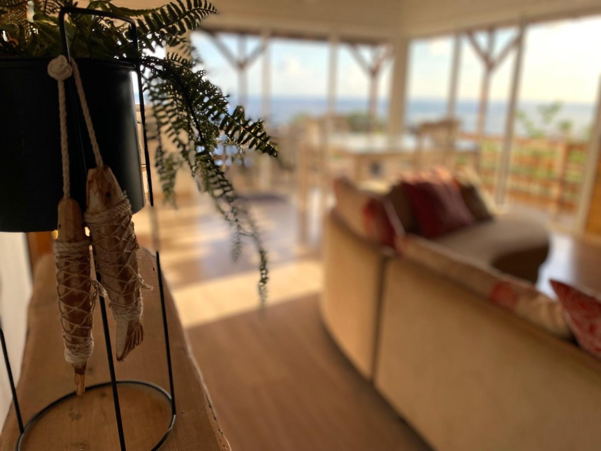 Ferienwohnung Alambic De Grand Anse Petite Île Exterior foto